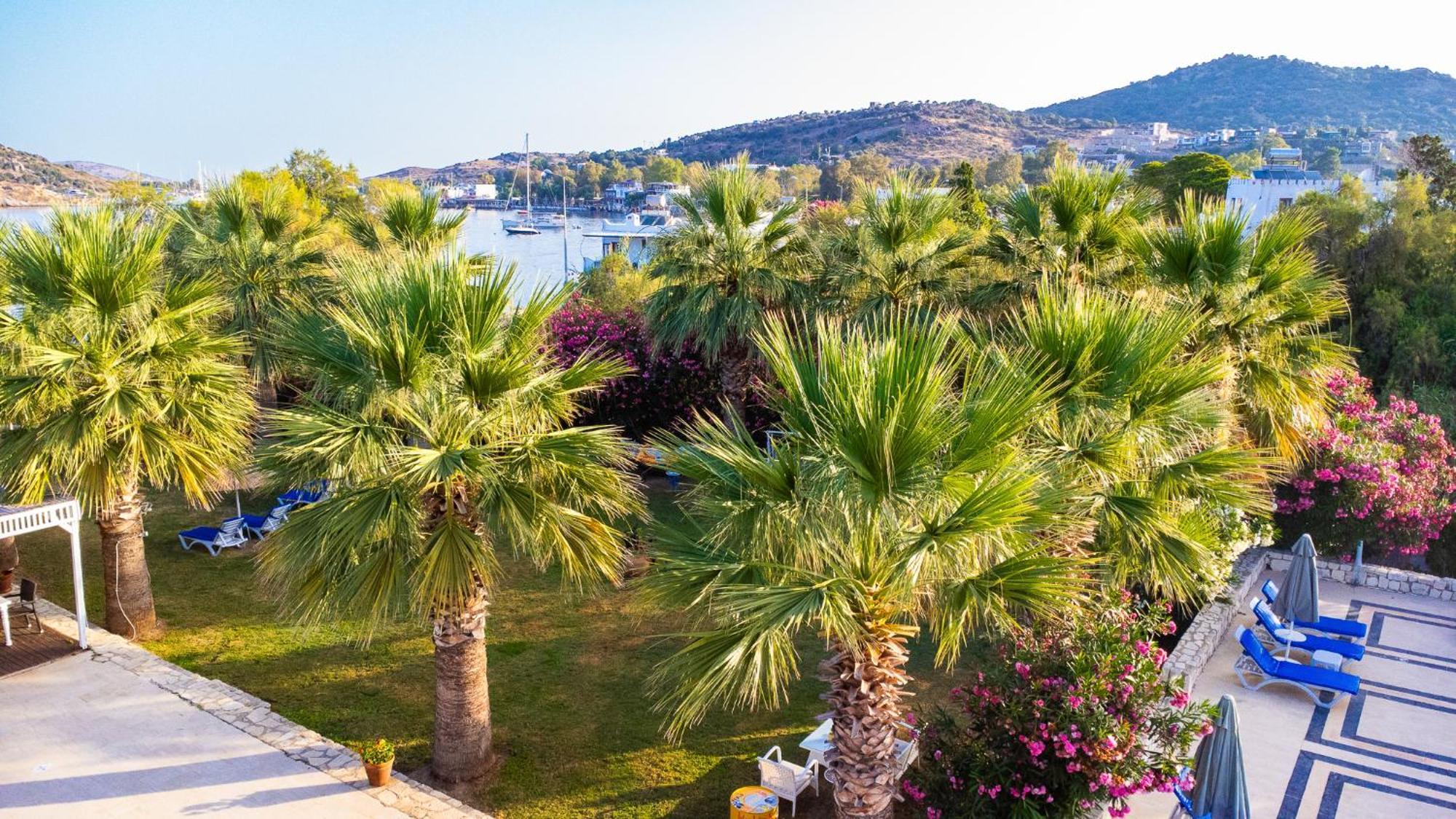 Ladonia Hotels Zemda Guemuesluek Gümüşlük Exterior foto